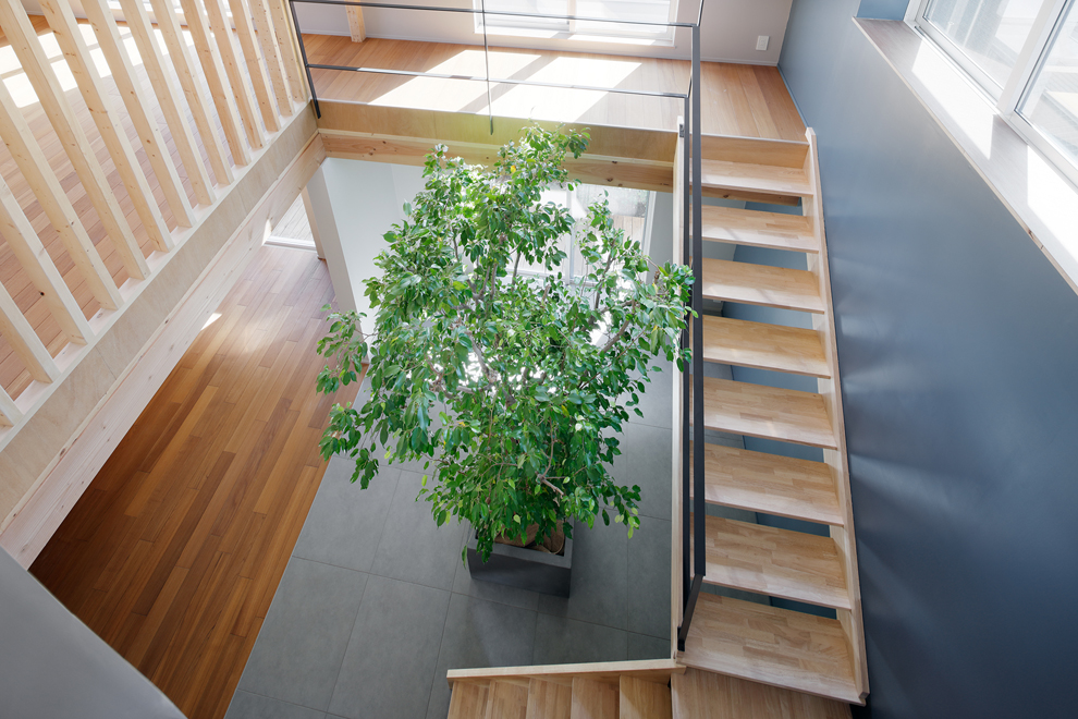 個室から吹き抜けを見下ろす