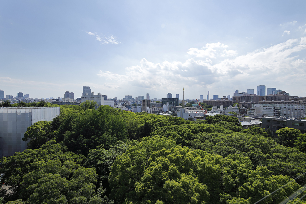 全部屋の窓やテラスから見える前面のパークビュー