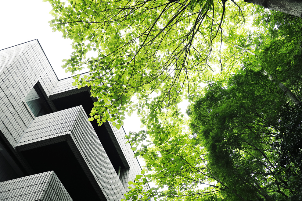 緑が美しい周辺環境の都内ビンテージマンション