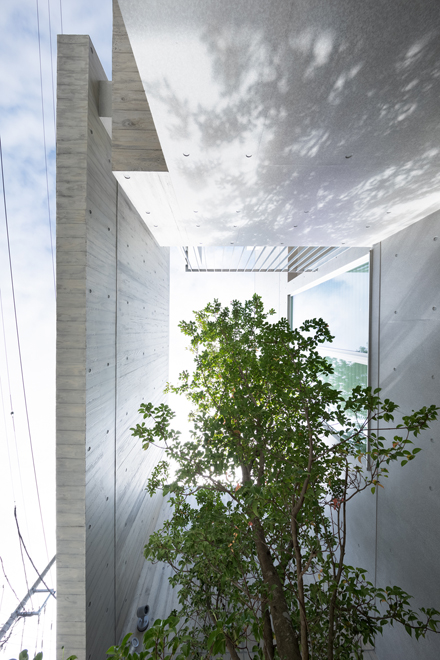 エントランス部分の見上げ エントランス部分の見上げ