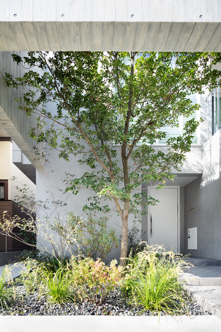 木を抱く壁をくぐり抜けるアプローチ 奥に玄関扉が見える 木を抱く壁をくぐり抜けるアプローチ 奥に玄関扉が見える