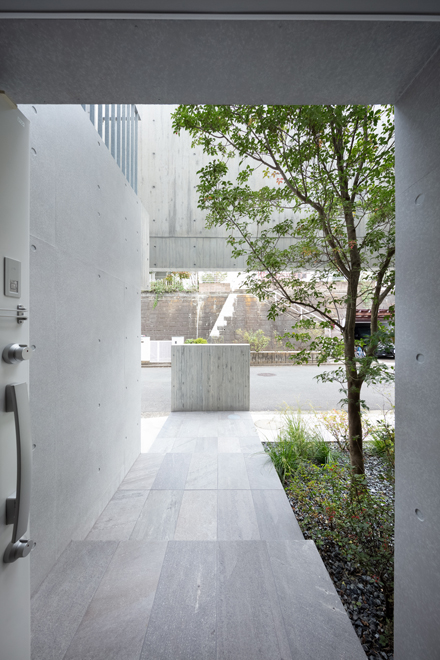 玄関から道路側を見返す 「木を抱く壁」によって前面住宅からの視線を遮っている 玄関から道路側を見返す 「木を抱く壁」によって前面住宅からの視線を遮っている